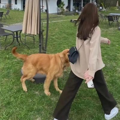 殉道者杀手